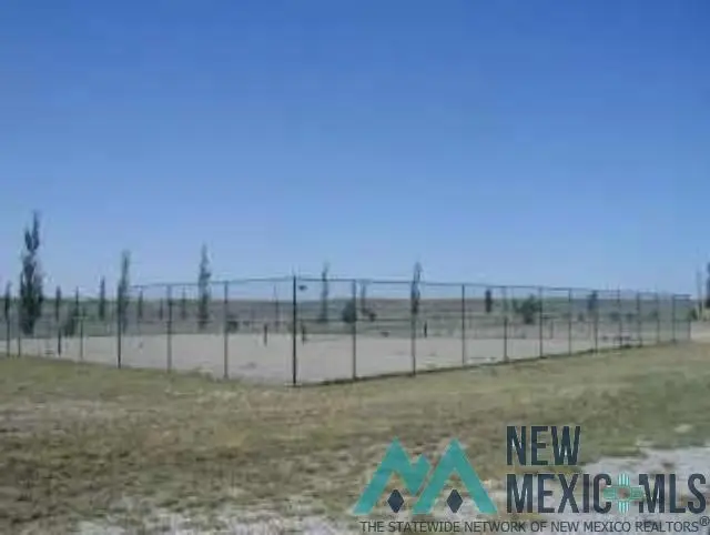 Blanco Rosa, Roswell, NM 88203 - #3