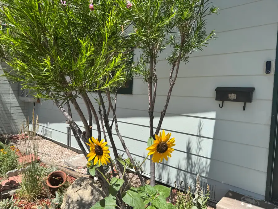 708 Julie Ct, Gallup, NM 87301 - #3