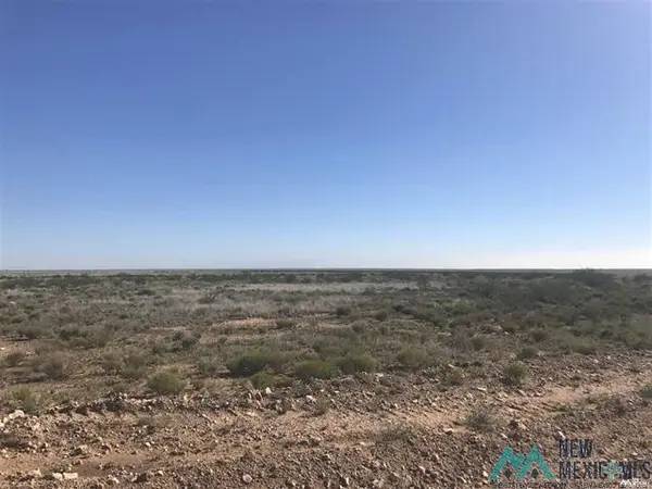 39 Chickisaw Rd Rd, Hagerman, NM 88232