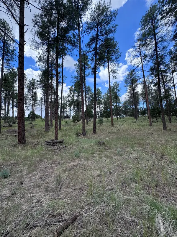 1 Paradise Vly, Timberon, NM 88350