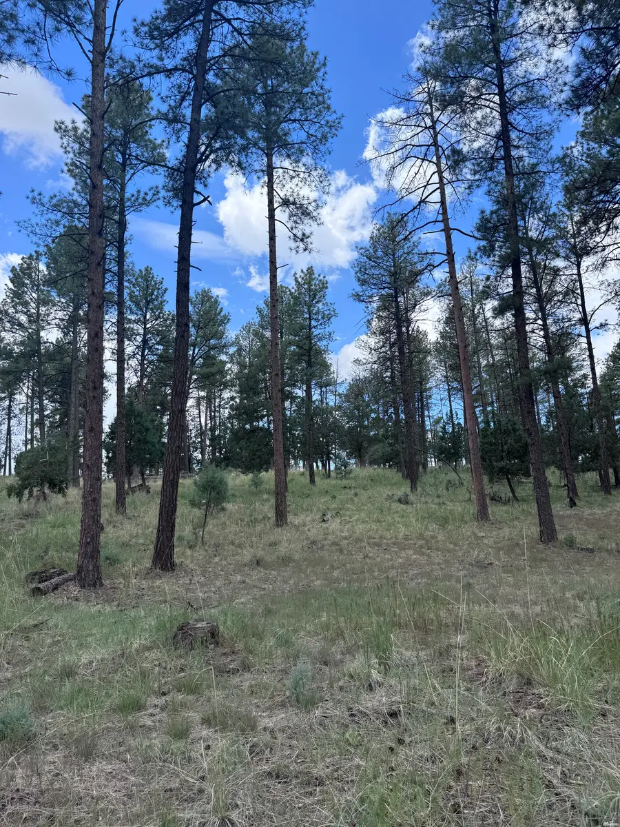 1 Paradise Vly, Timberon, NM 88350 - #2