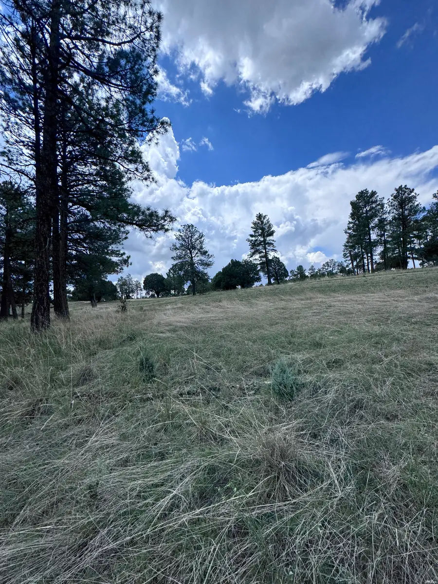 1 Paradise Vly, Timberon, NM 88350 - #3