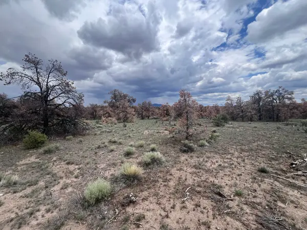 0, Quemado, NM 87829