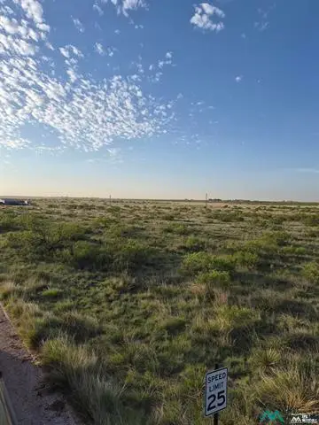 1789 Moreland Rd, Portales, NM 88130 - #2