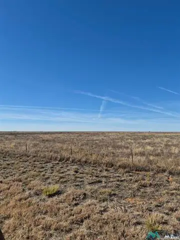 5950 206 Highway, Pep, NM 88126