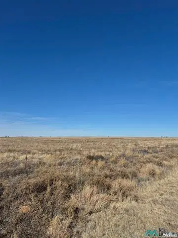 5950 206 Highway, Pep, NM 88126 - #2