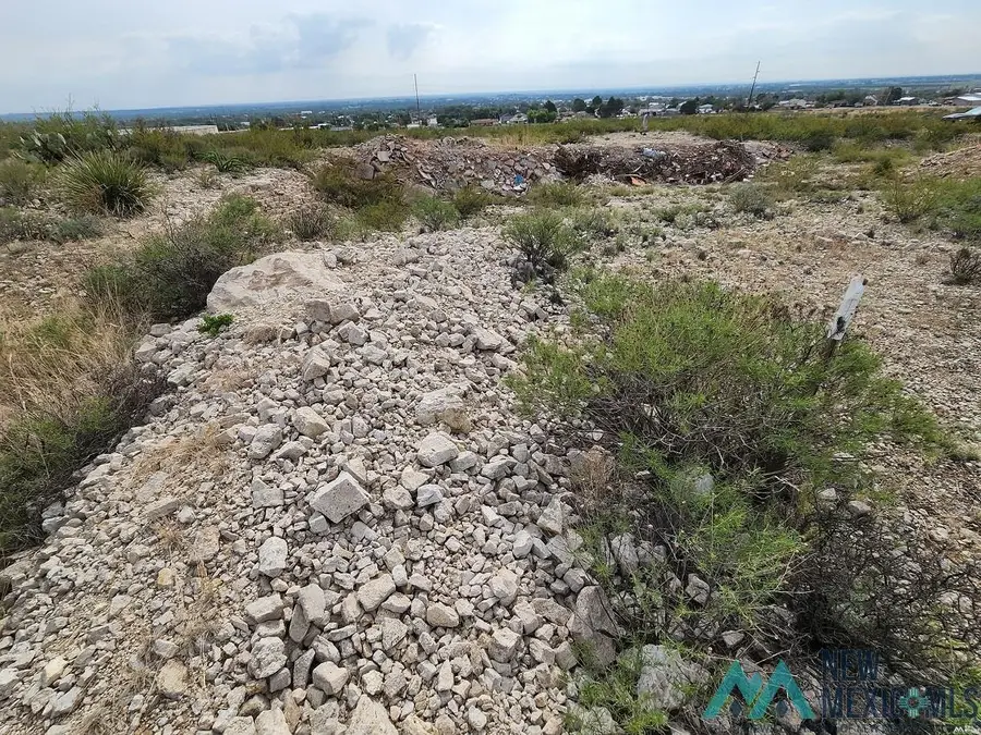 1 W Of 406 N Twelfth St, Carlsbad, NM 88220 - #2