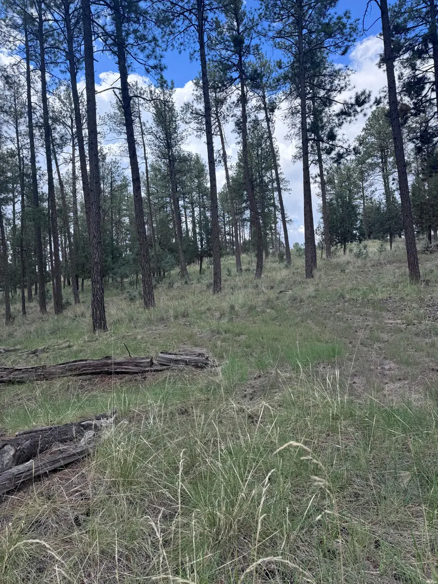 119 Paradise Vly, Timberon, NM 88350 - #2