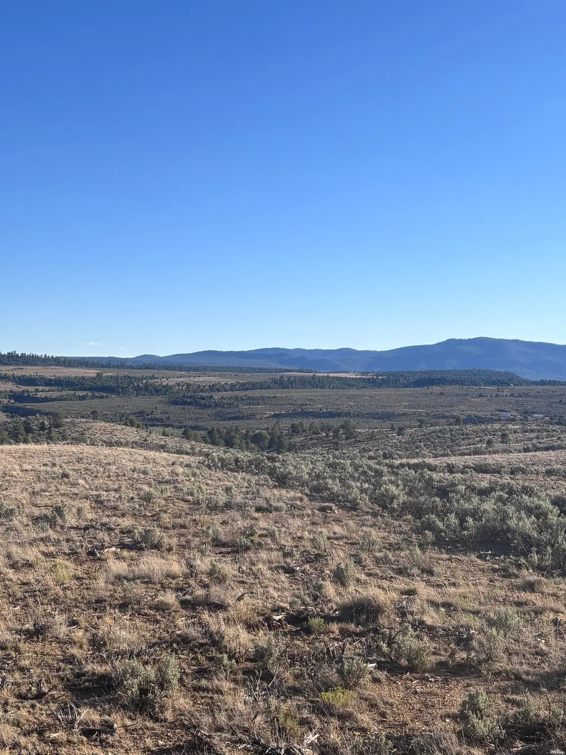 0, Tierra Amarilla, NM 87575 - #1