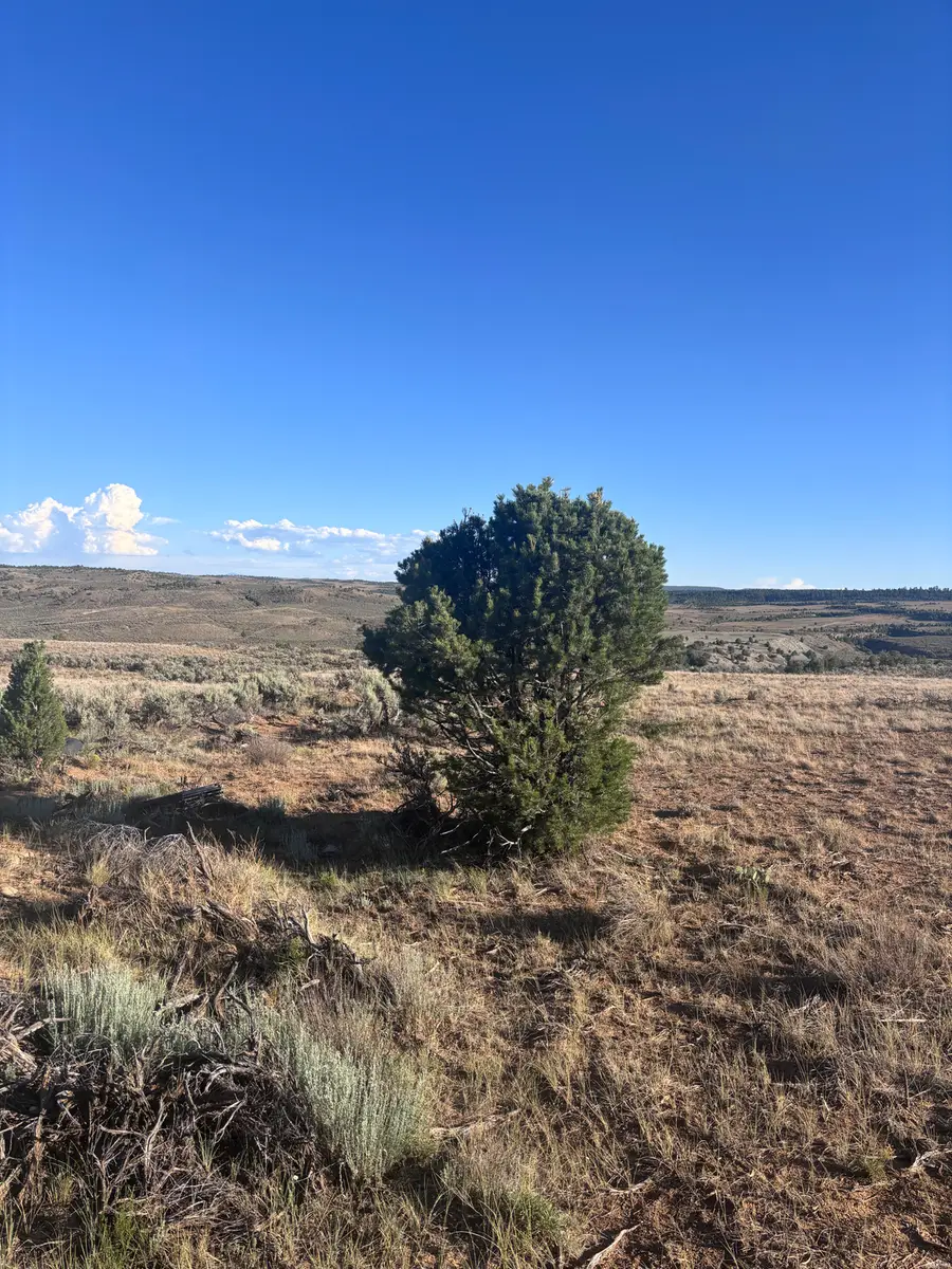 0, Tierra Amarilla, NM 87575 - #2