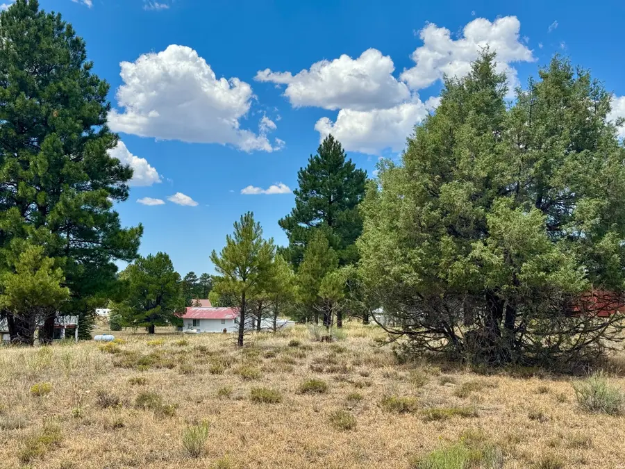 9 Pd 1791, Chama, NM 87520 - #2