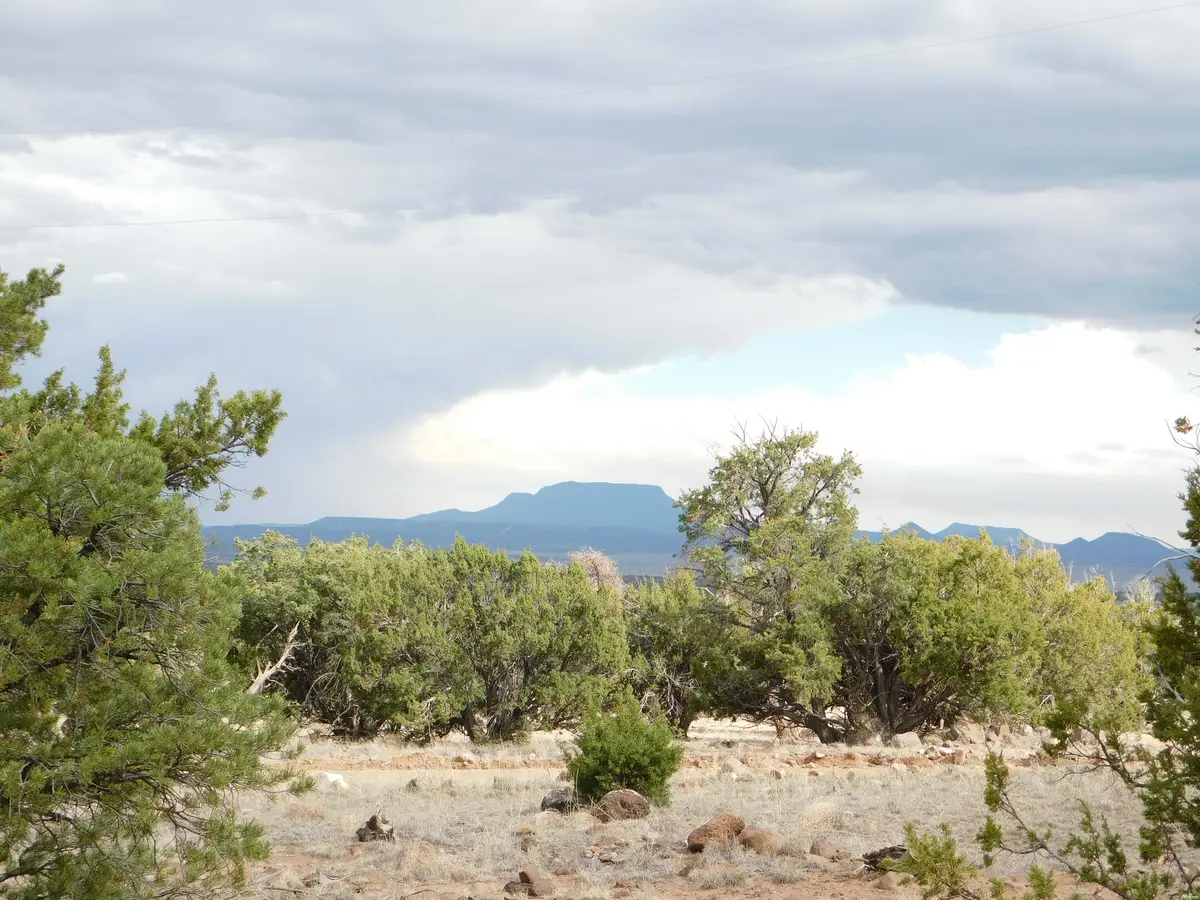 0, Quemado, NM 87829 - #1