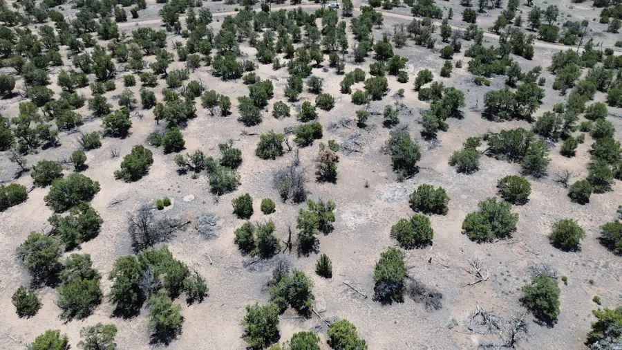 0, Quemado, NM 87829 - #3