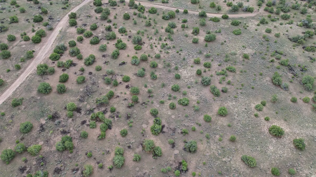 0, Quemado, NM 87829 - #1