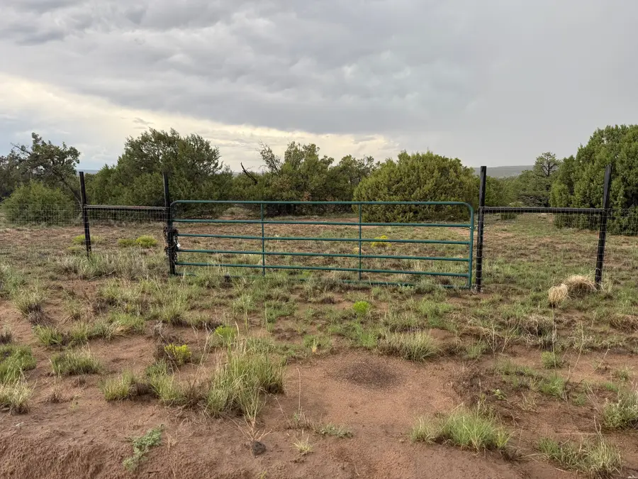 0, Quemado, NM 87829 - #2