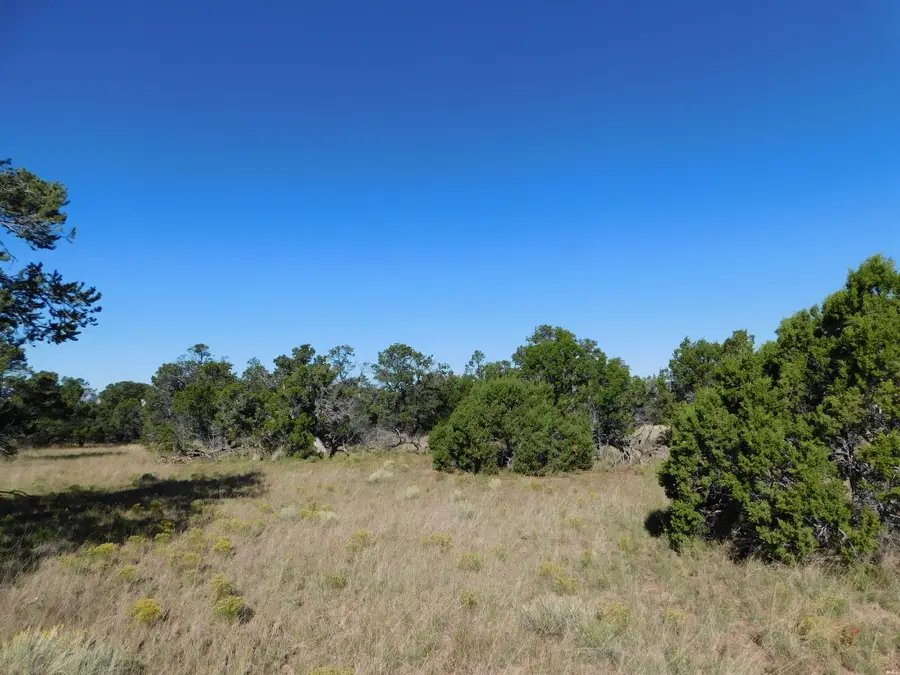43 Brook Blvd, Quemado, NM 87829 - #2