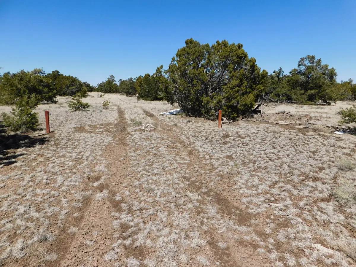 0, Quemado, NM 87829 - #1