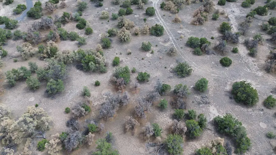 0, Quemado, NM 87829 - #2