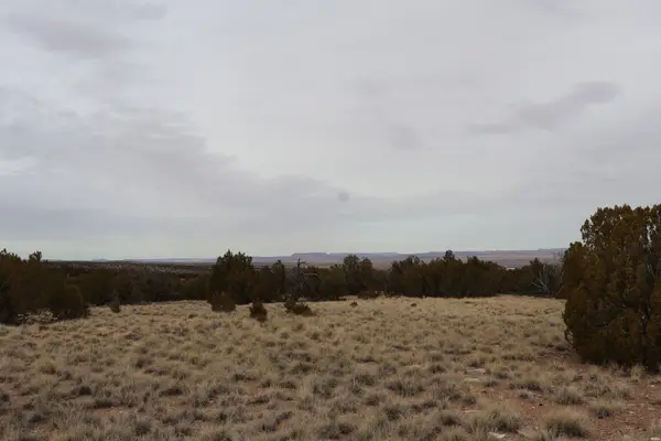 0, Grants, NM 87020