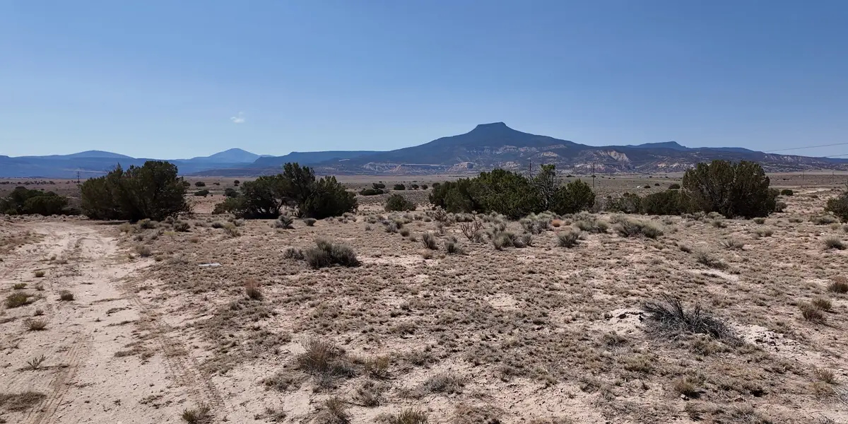 29 State Road 96 Rd, Abiquiu, NM 87510 - #1