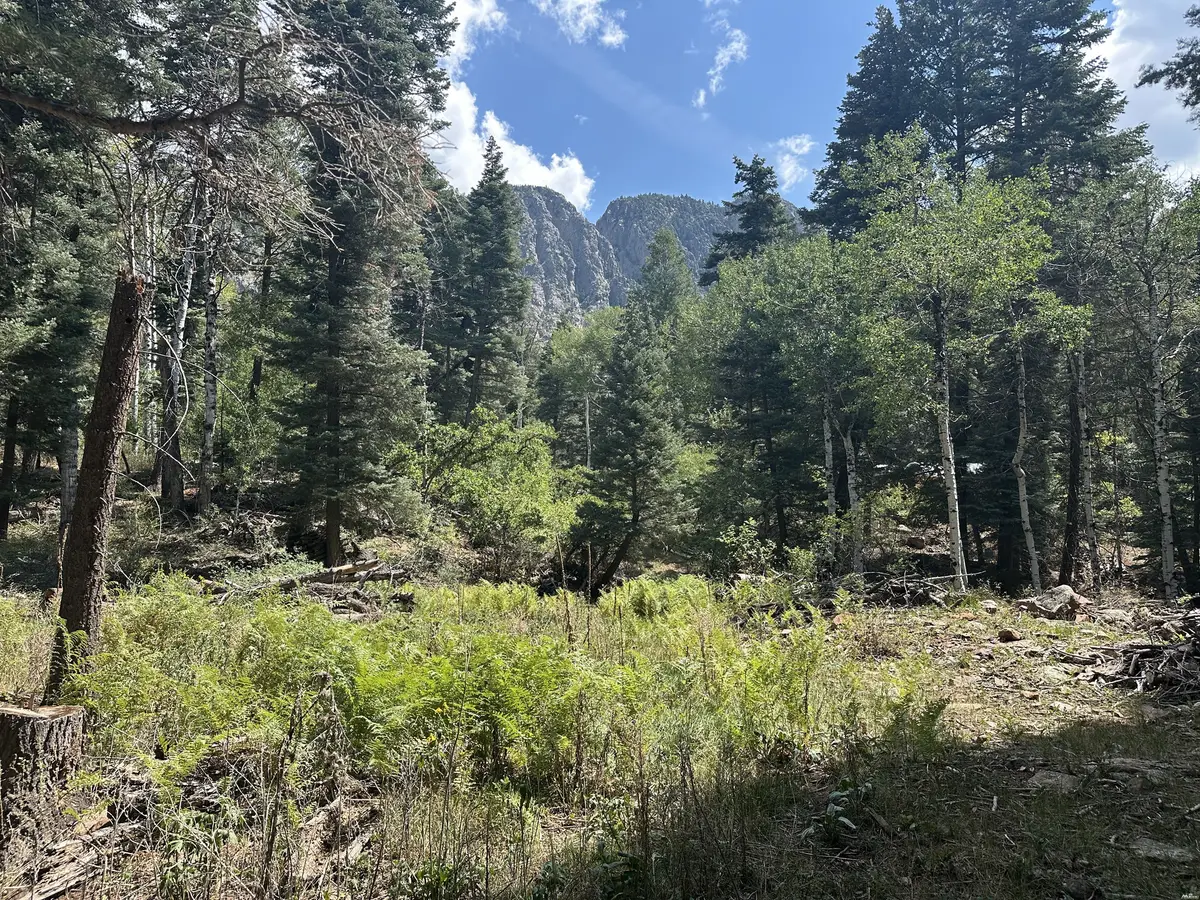 0, Chama, NM 87520 - #1