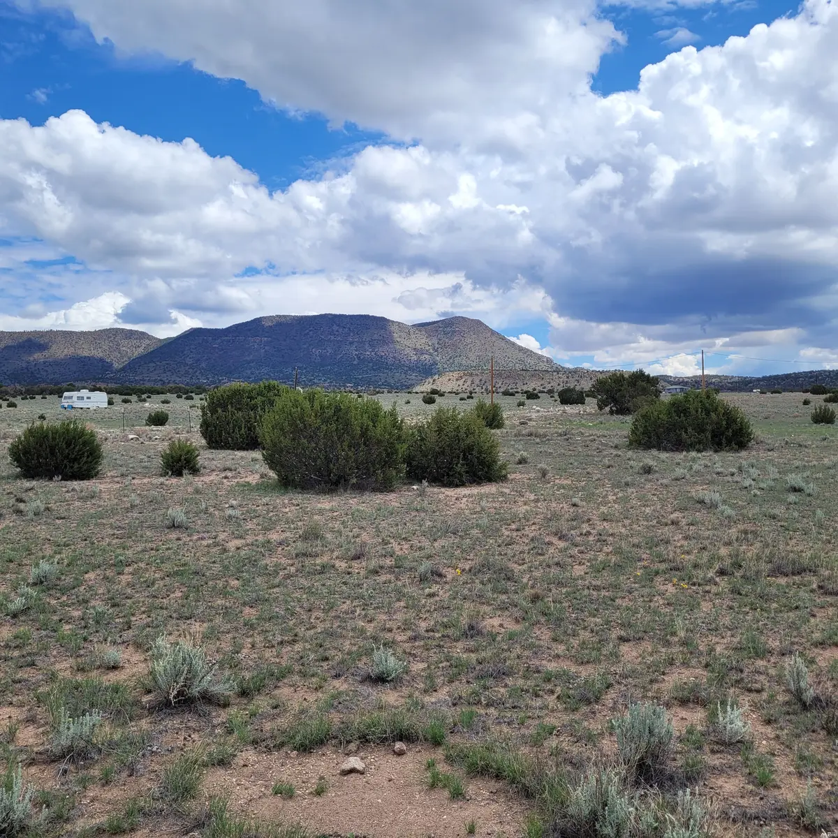 16 Lot Number On Southern Trail Trl, Datil, NM 87821 - #1