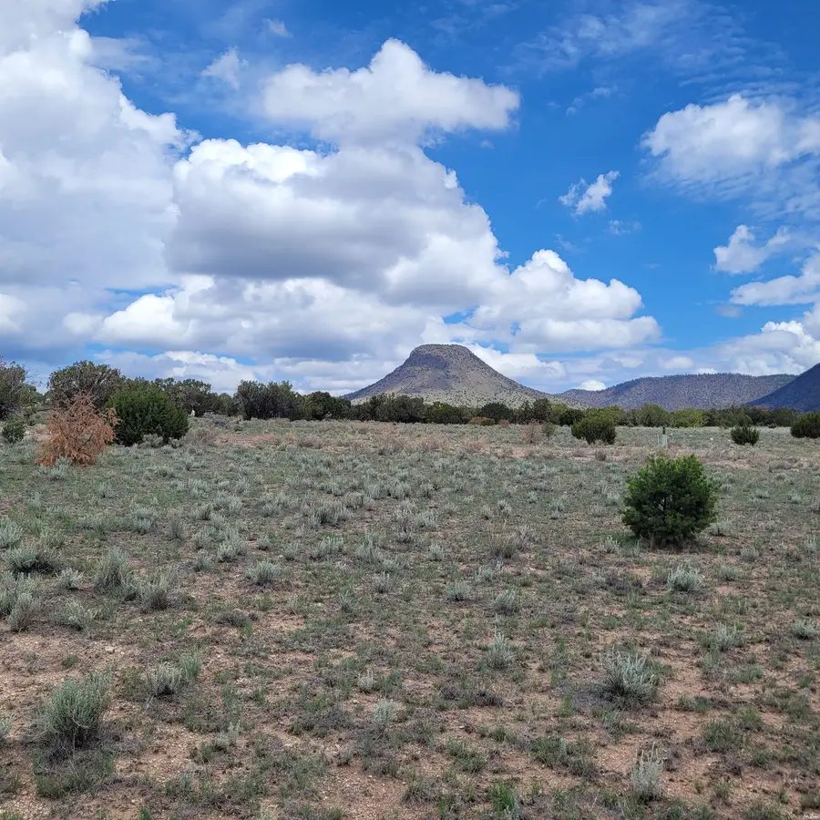 16 Lot Number On Southern Trail Trl, Datil, NM 87821 - #2