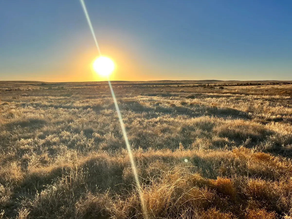 10 Buena Vida, Roswell, NM 88203 - #1