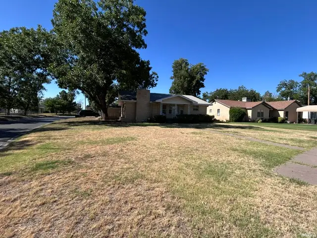 101 W Francis St, Carlsbad, NM 88220 - #3