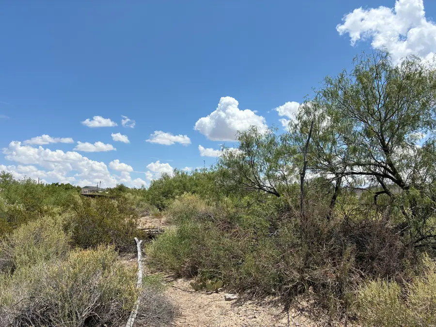 500 4th & Pine, Truth Or Consequences, NM 87901 - #2