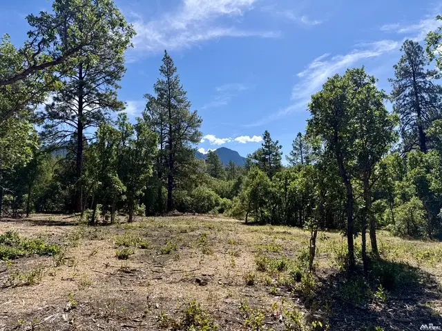 67 Private Dr 1755, Chama, NM 87520 - #1