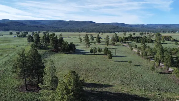 26 Laney Ln, Luna, NM 87824
