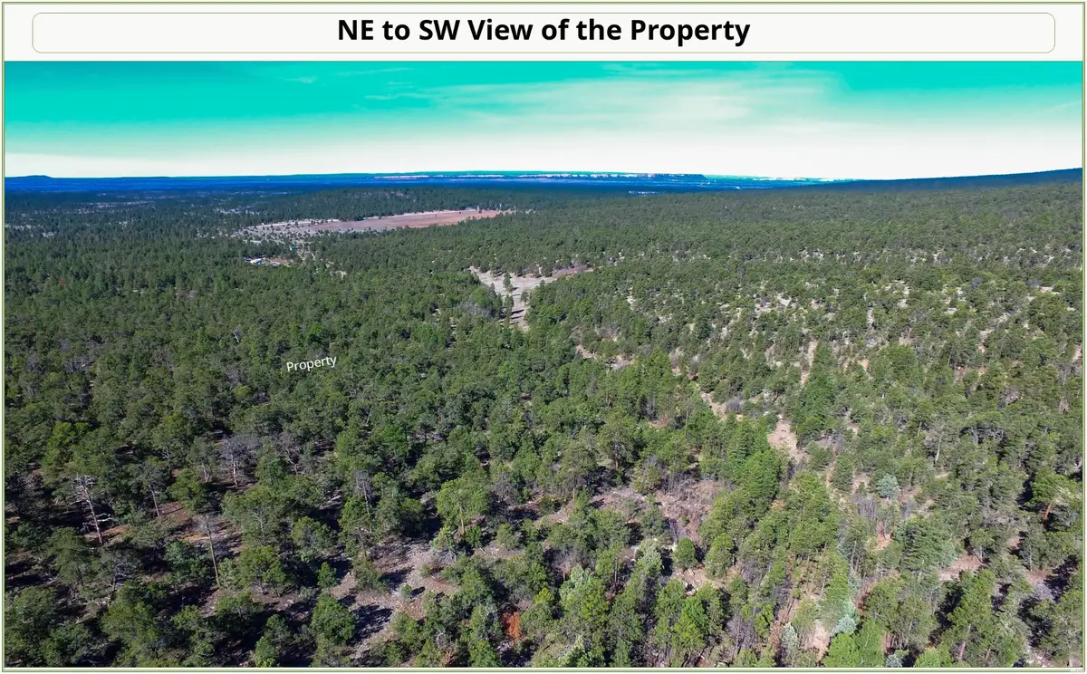0 Tripwire Ln, Grants, NM 87020 - #1