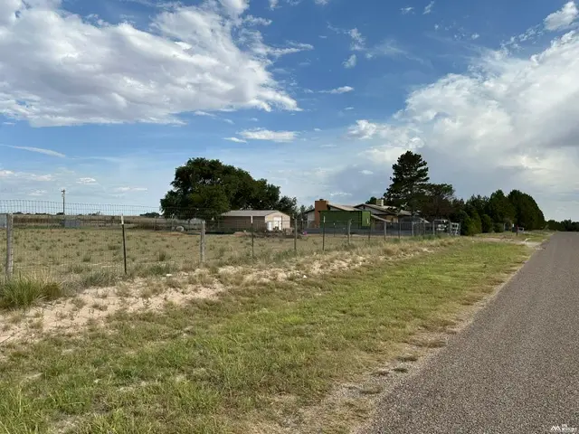 513 New York Dr, Portales, NM 88130 - #1