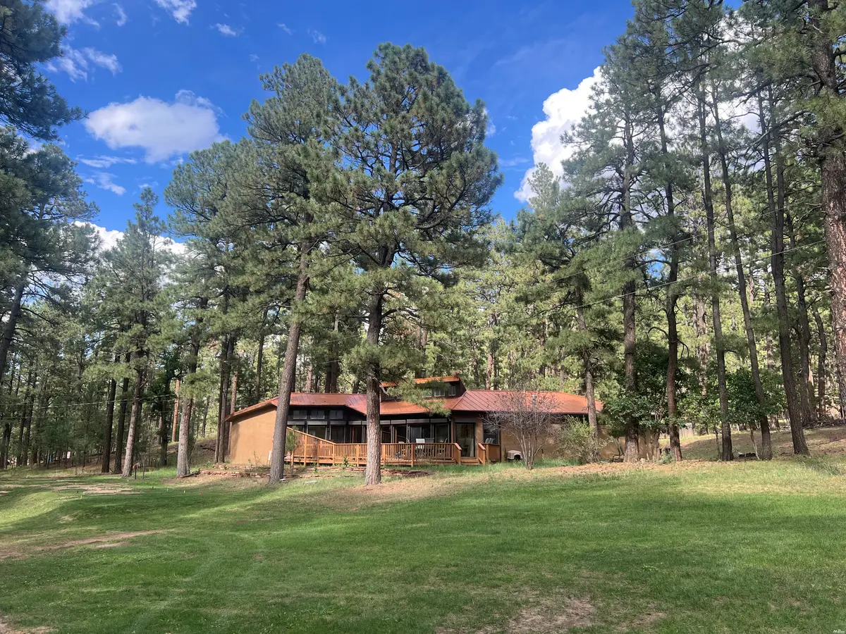 4 Forest, Rociada, NM 87742 - #1