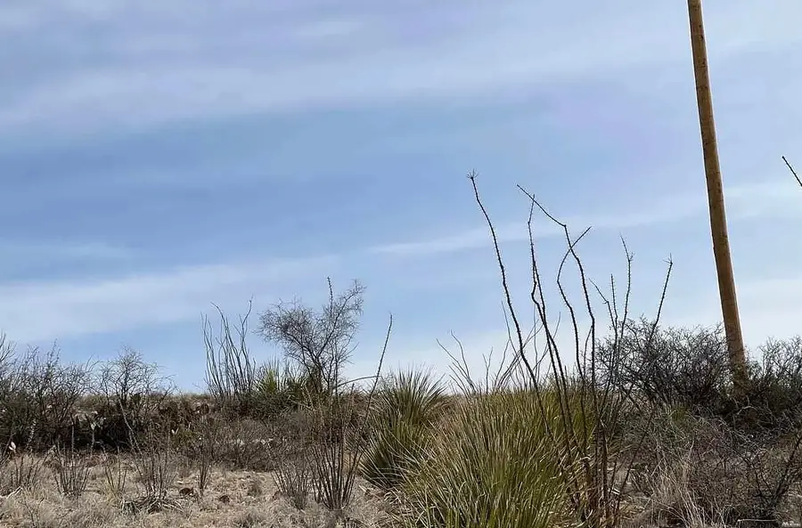 819 Miehls, Carlsbad, NM 88220 - #2