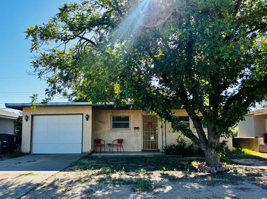 1403 S Washington, Roswell, NM 88203 - #2