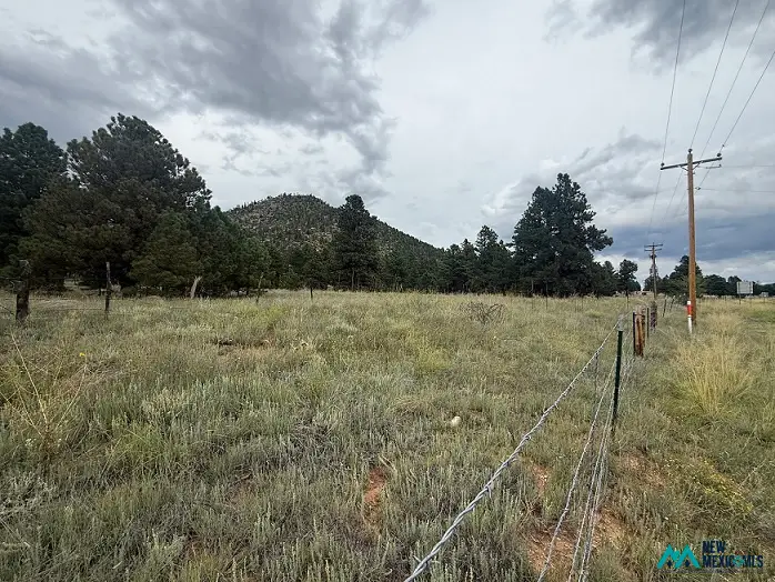 2 Hwy 434, Mora, NM 87732 - #3