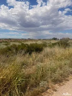 8129 Tovar, Carlsbad, NM 88220