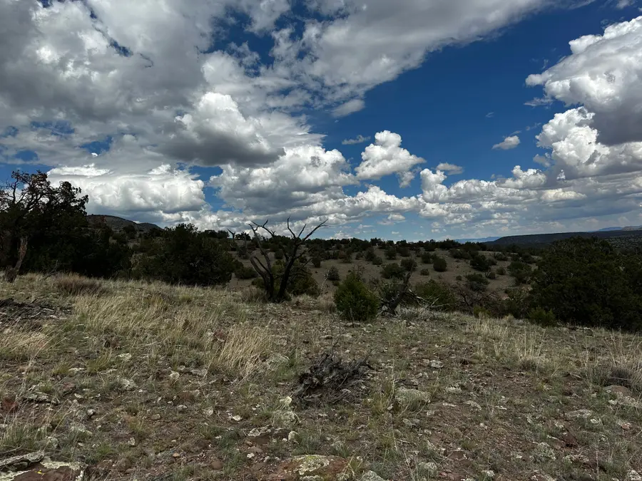 1 Hilltop Dr, Datil, NM 87821 - #2