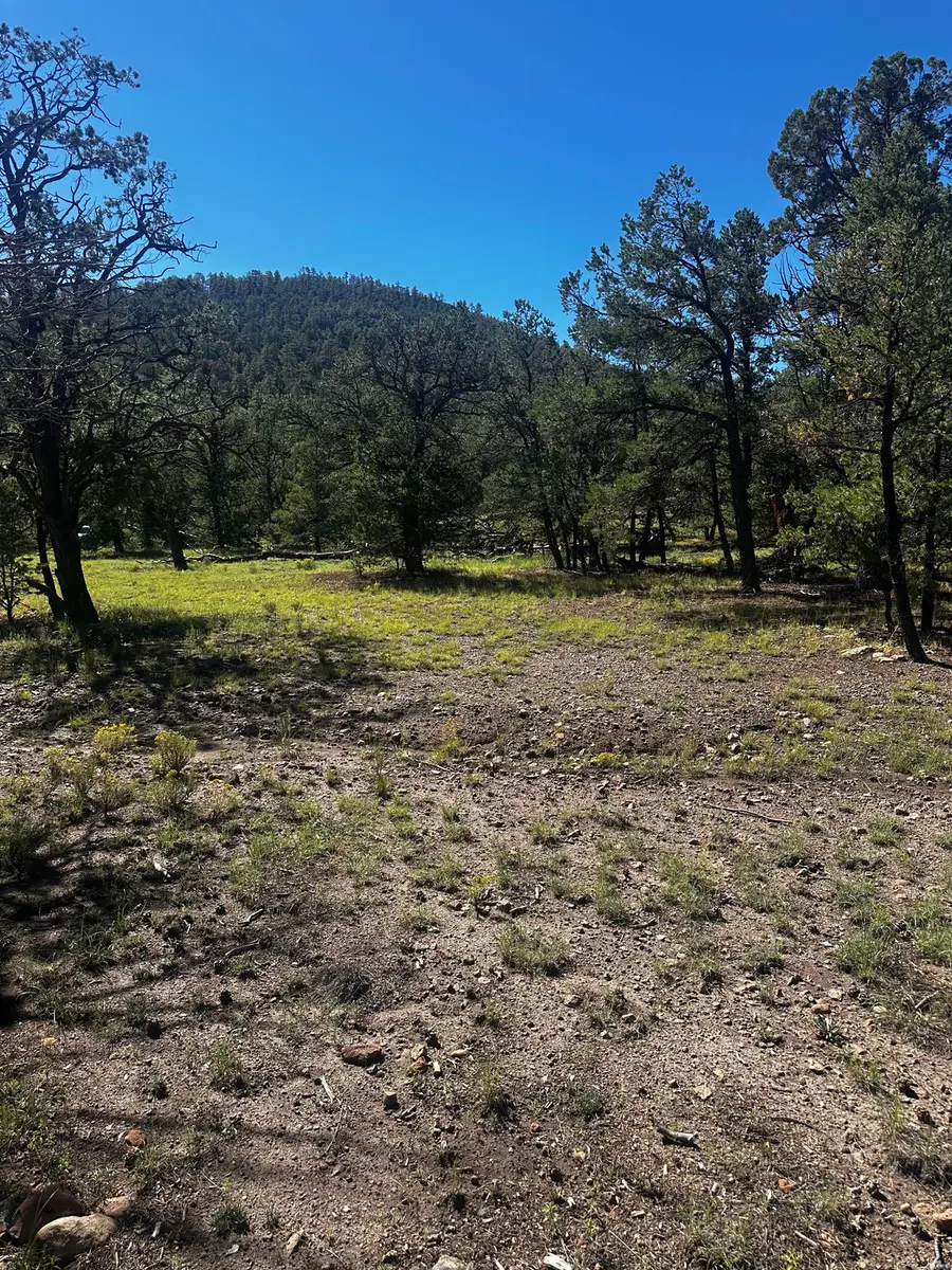 61 Wilderness Cir, Datil, NM 87821 - #2
