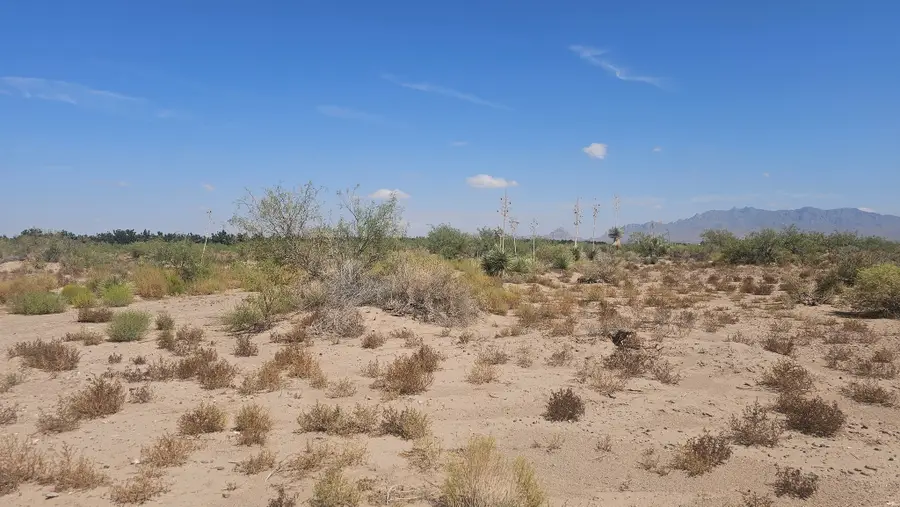 0 Camino Uno, Deming, NM 88030 - #3