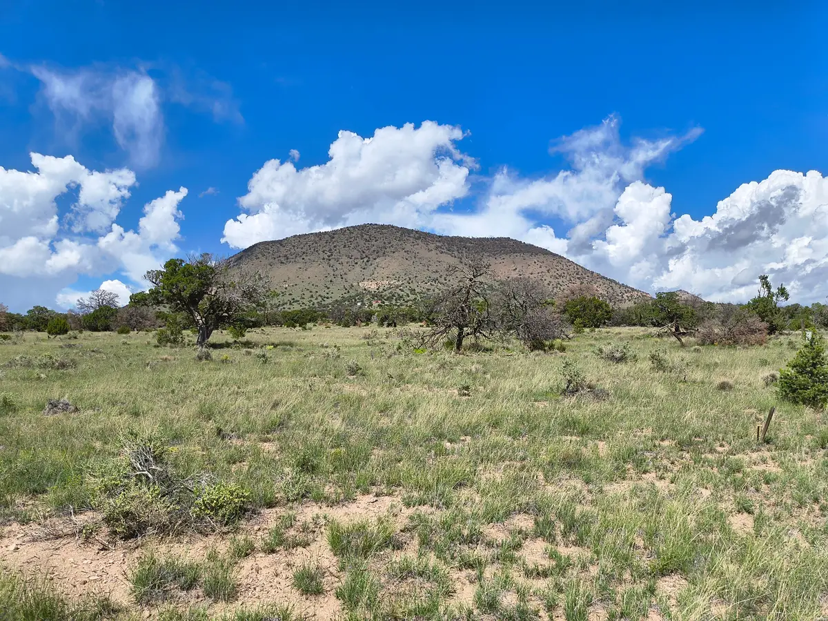 77 Wildwood Lot 77, Datil, NM 87821 - #1