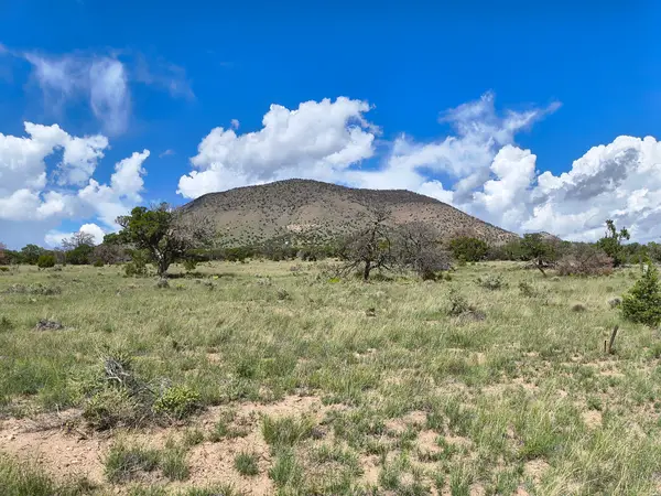 77 Wildwood Lot 77, Datil, NM 87821