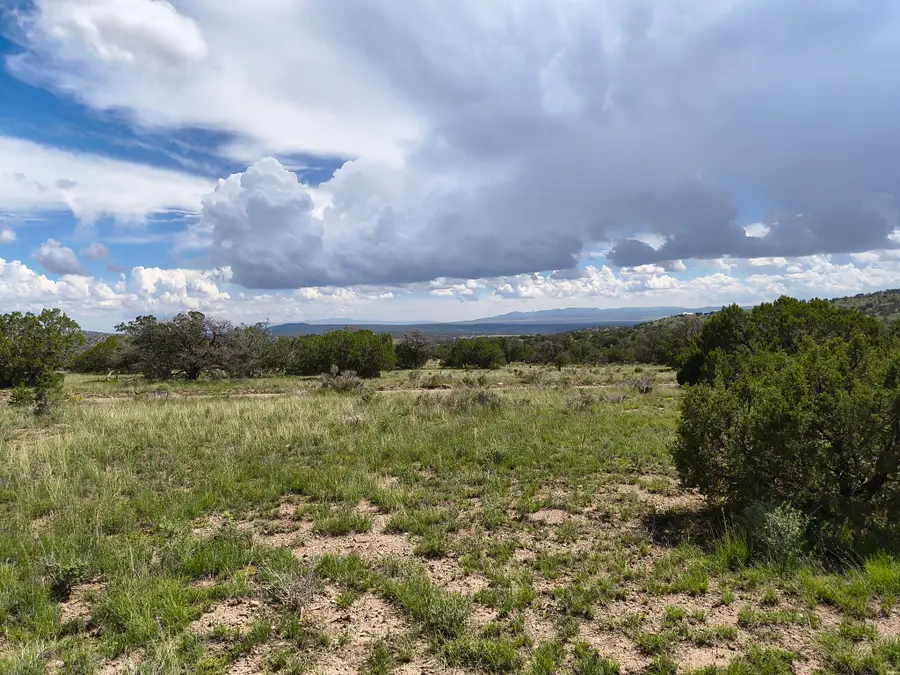 77 Wildwood Lot 77, Datil, NM 87821 - #2