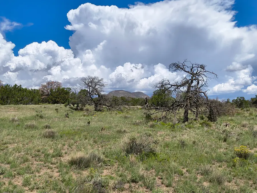 77 Wildwood Lot 77, Datil, NM 87821 - #3