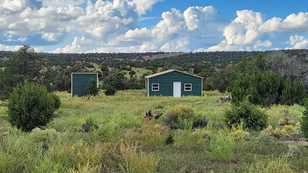 19 Equestrian Lane, Quemado, NM 87829