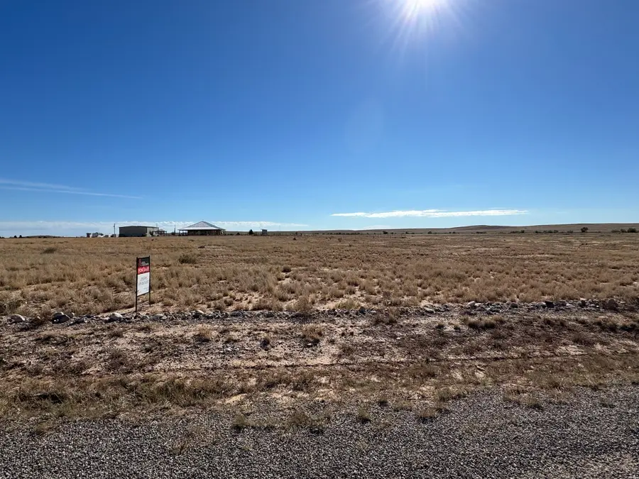 319 Tierra Grande Blvd, Roswell, NM 88203 - #2