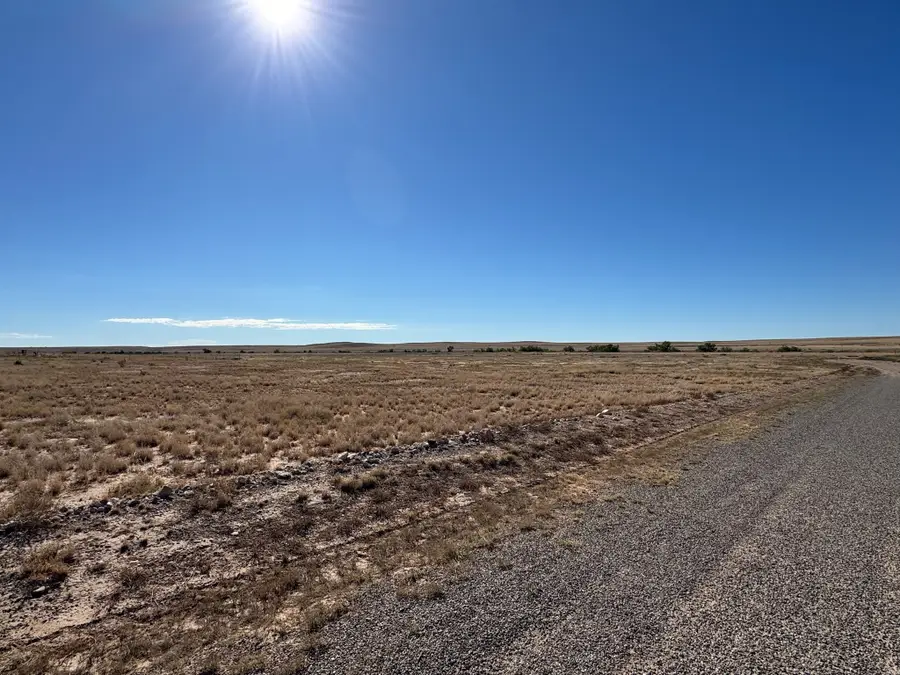 319 Tierra Grande Blvd, Roswell, NM 88203 - #3
