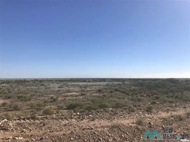 132 Des Moines Rd, Hagerman, NM 88232 - #2